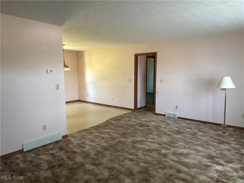 Carpet, view into DR