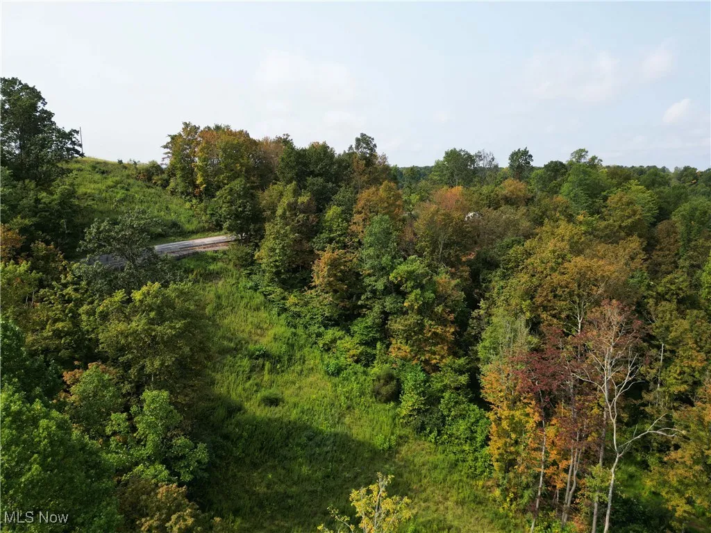Ogles Ridge Road, Dexter City, Ohio 45727,MLS Now Listing ID
