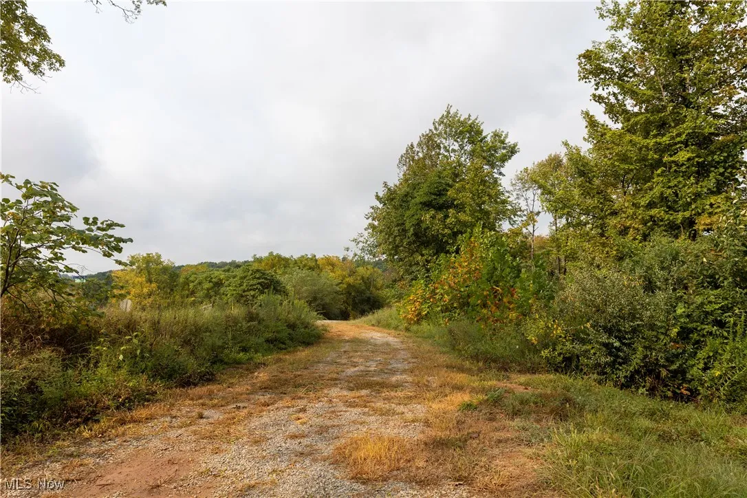 Ogles Ridge Road, Dexter City, Ohio 45727,MLS Now Listing ID