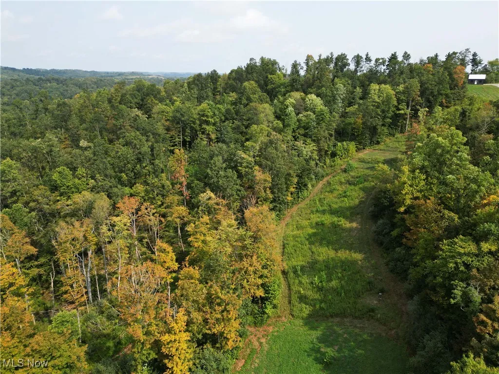 Ogles Ridge Road, Dexter City, Ohio 45727,MLS Now Listing ID