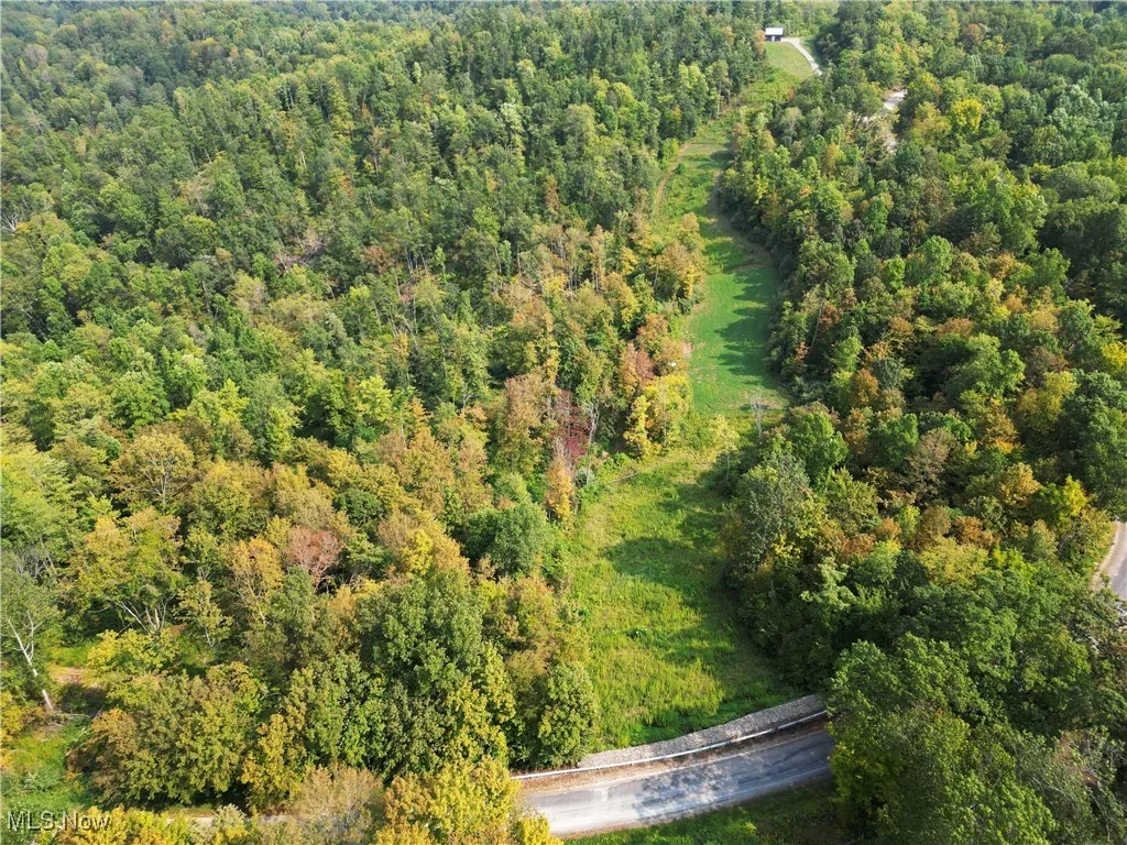 Ogles Ridge Road, Dexter City, Ohio 45727,MLS Now Listing ID