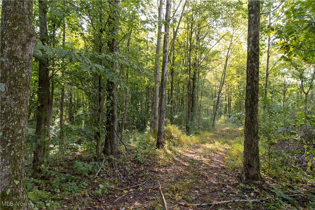 Ogles Ridge Road, Dexter City, Ohio 45727,MLS Now Listing ID