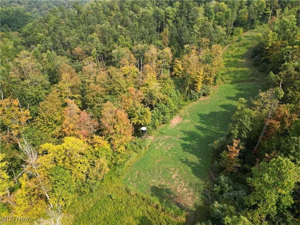 Ogles Ridge Road, Dexter City, Ohio 45727,MLS Now Listing ID