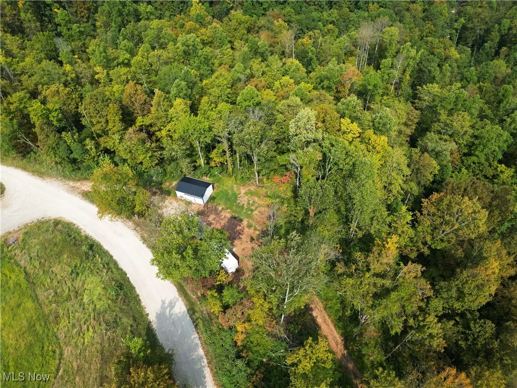 Ogles Ridge Road, Dexter City, Ohio 45727,MLS Now Listing ID