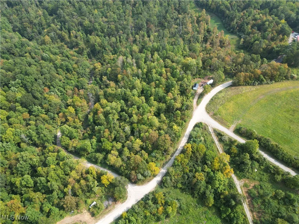 Ogles Ridge Road, Dexter City, Ohio 45727,MLS Now Listing ID