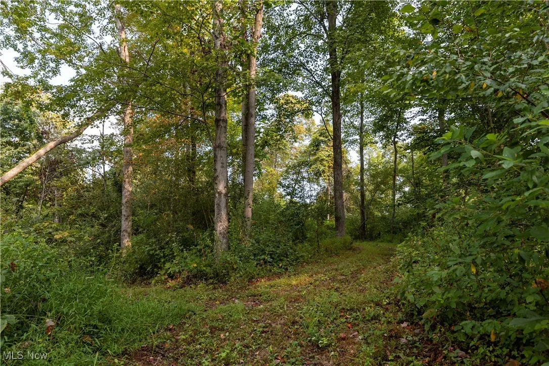 Ogles Ridge Road, Dexter City, Ohio 45727,MLS Now Listing ID