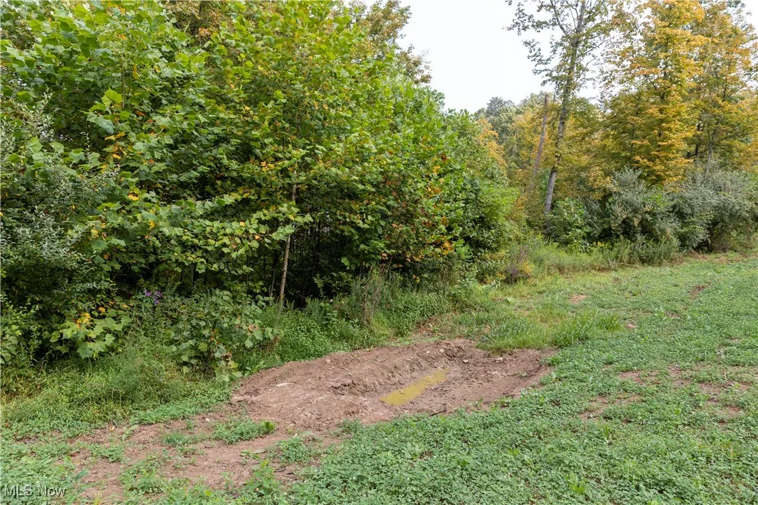 Ogles Ridge Road, Dexter City, Ohio 45727,MLS Now Listing ID