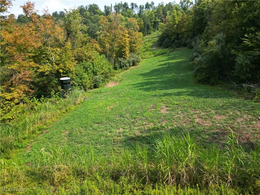 Ogles Ridge Road, Dexter City, Ohio 45727,MLS Now Listing ID