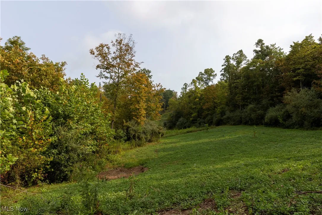 Ogles Ridge Road, Dexter City, Ohio 45727,MLS Now Listing ID