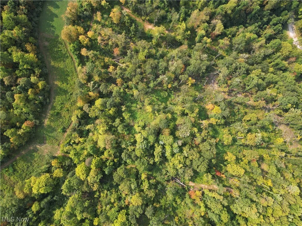 Ogles Ridge Road, Dexter City, Ohio 45727,MLS Now Listing ID