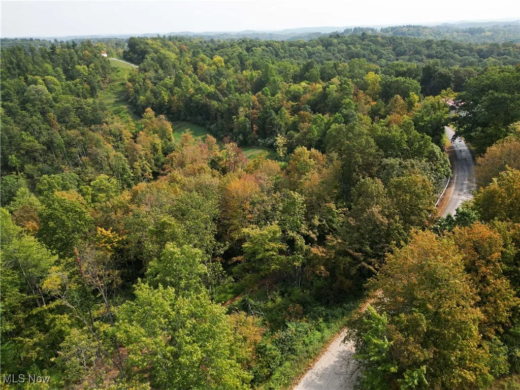 Ogles Ridge Road, Dexter City, Ohio 45727,MLS Now Listing ID
