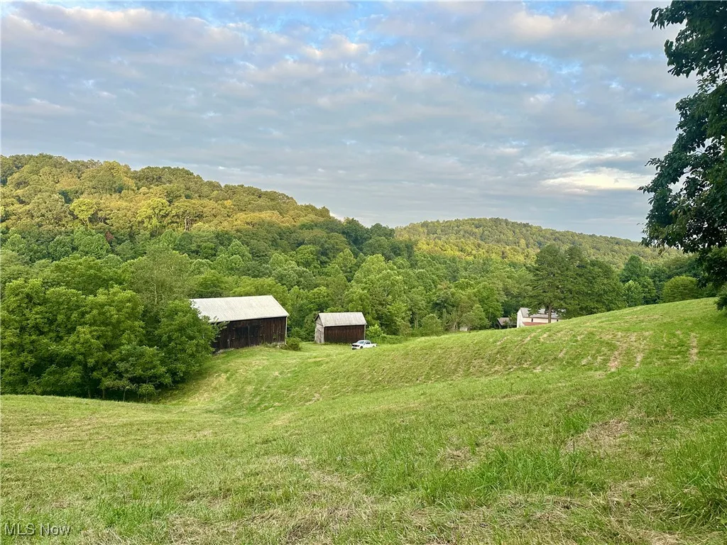 View of grassy yard with an outbuilding, a wooded view, and a view of countryside