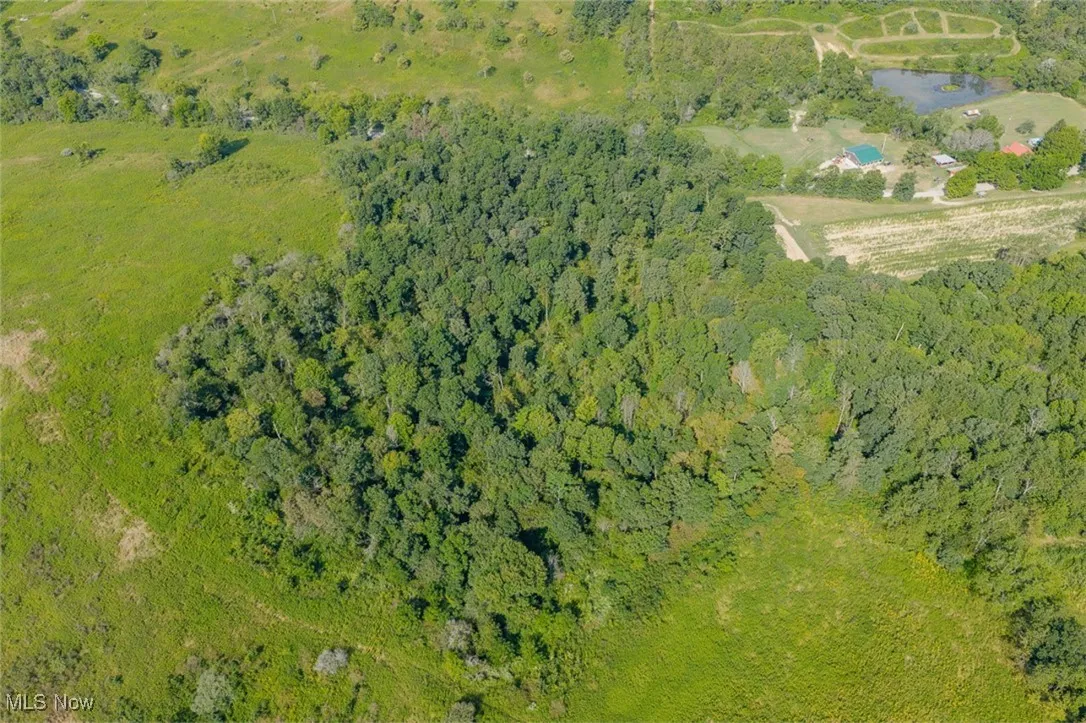Aerial view of property's location featuring a forest