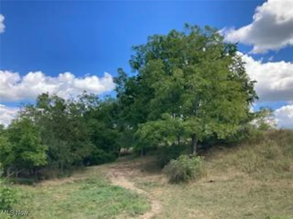 View of undeveloped land