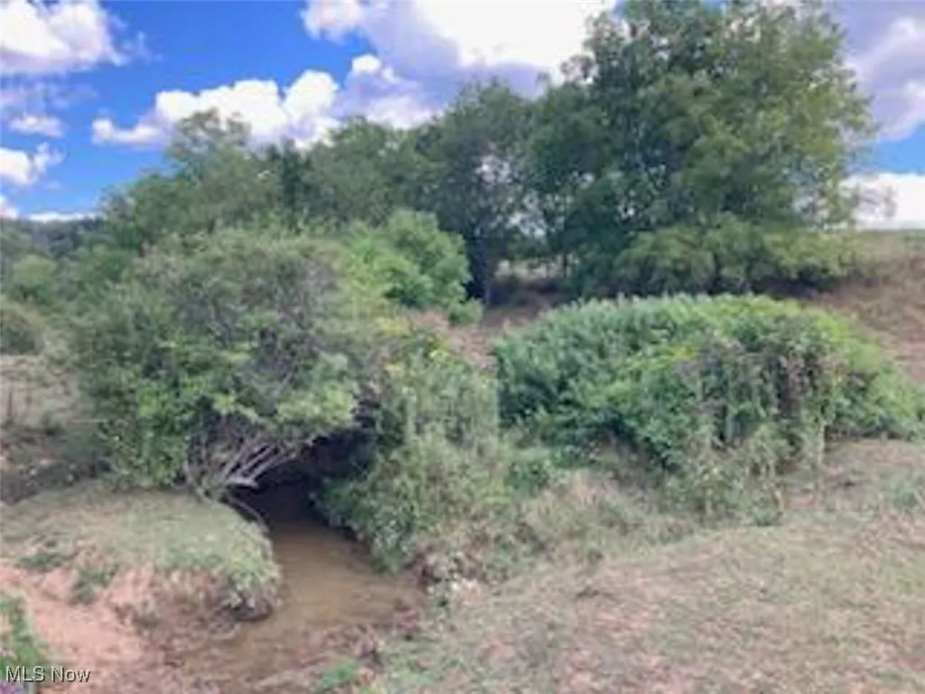 View of nature