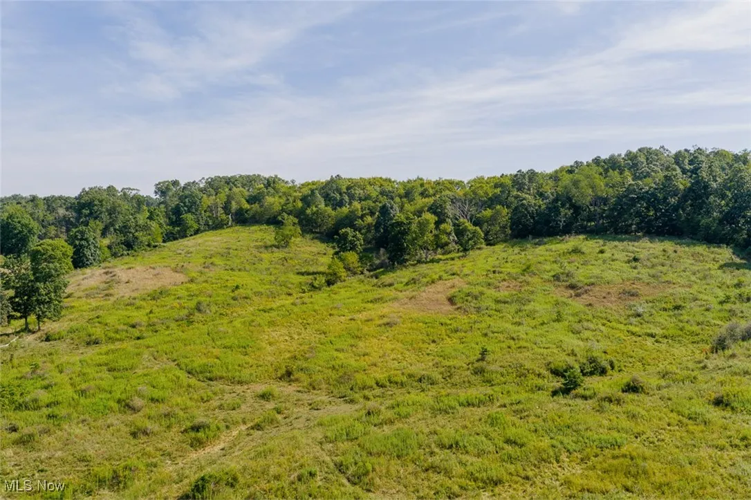 View of undeveloped land