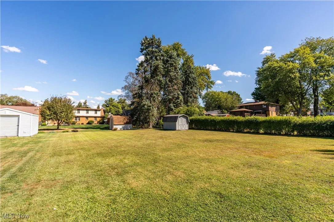 View of green lawn with a storage shed