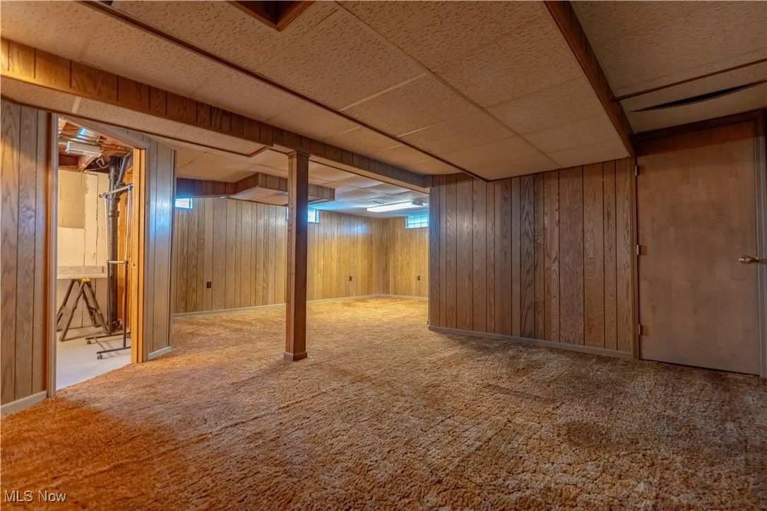 Finished basement featuring light colored carpet, a drop ceiling, and wood walls