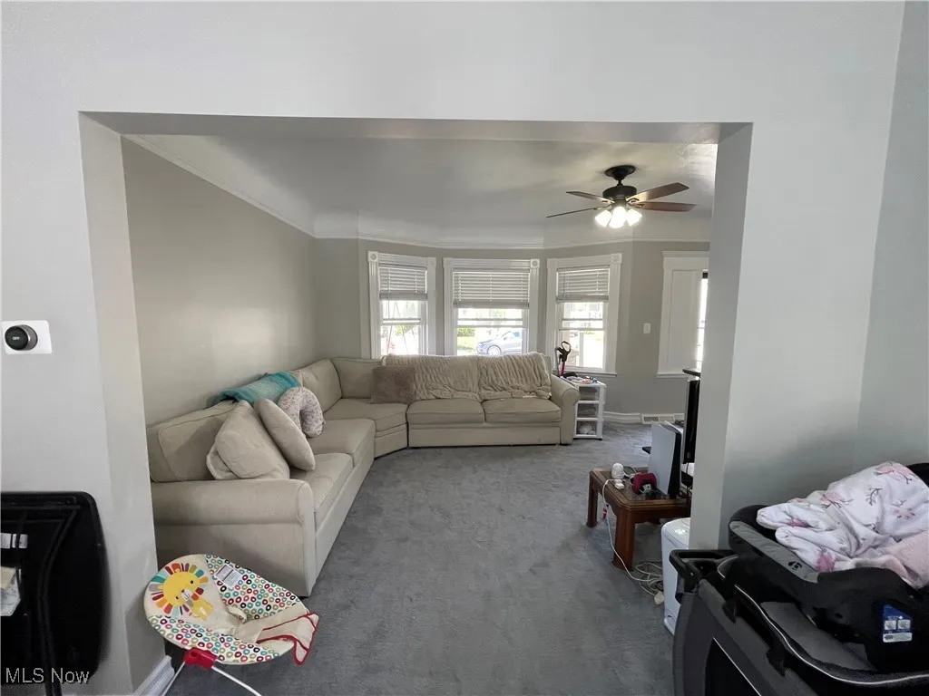 Carpeted living area featuring crown molding and a ceiling fan