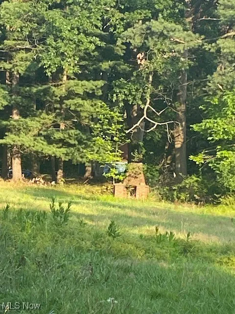 View of yard with outdorr fireplace