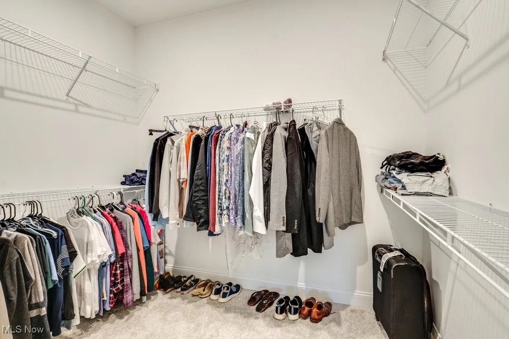 Spacious closet featuring carpet flooring