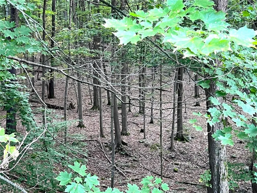 12386 Auburn Road, Chardon, Ohio 44024,MLS Now Listing ID