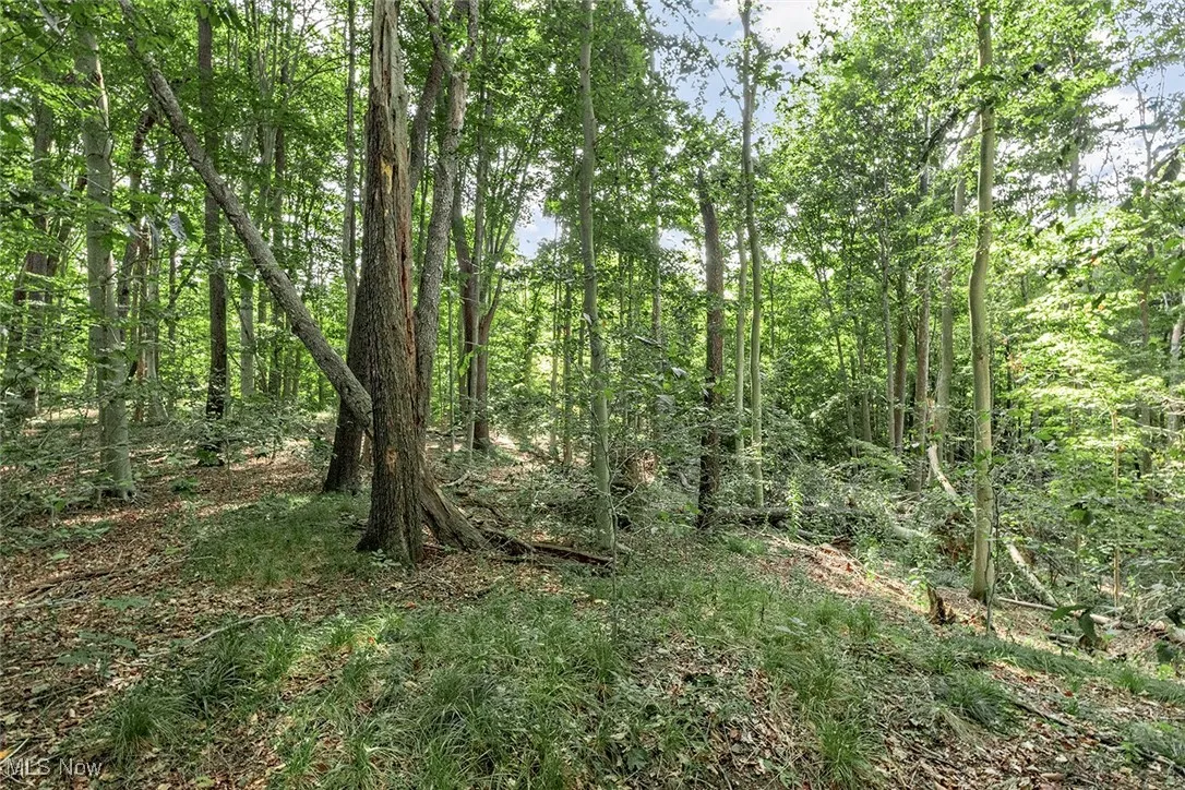11855 Heath Road, Chesterland, Ohio 44026,MLS Now Listing ID