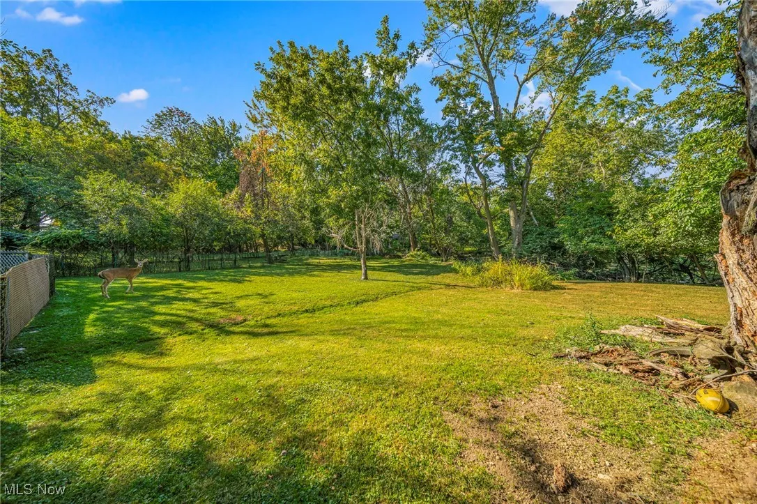 6110 Traymore Avenue, Brooklyn, Ohio 44144,MLS Now Listing ID