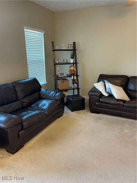 Living room featuring carpet and baseboards