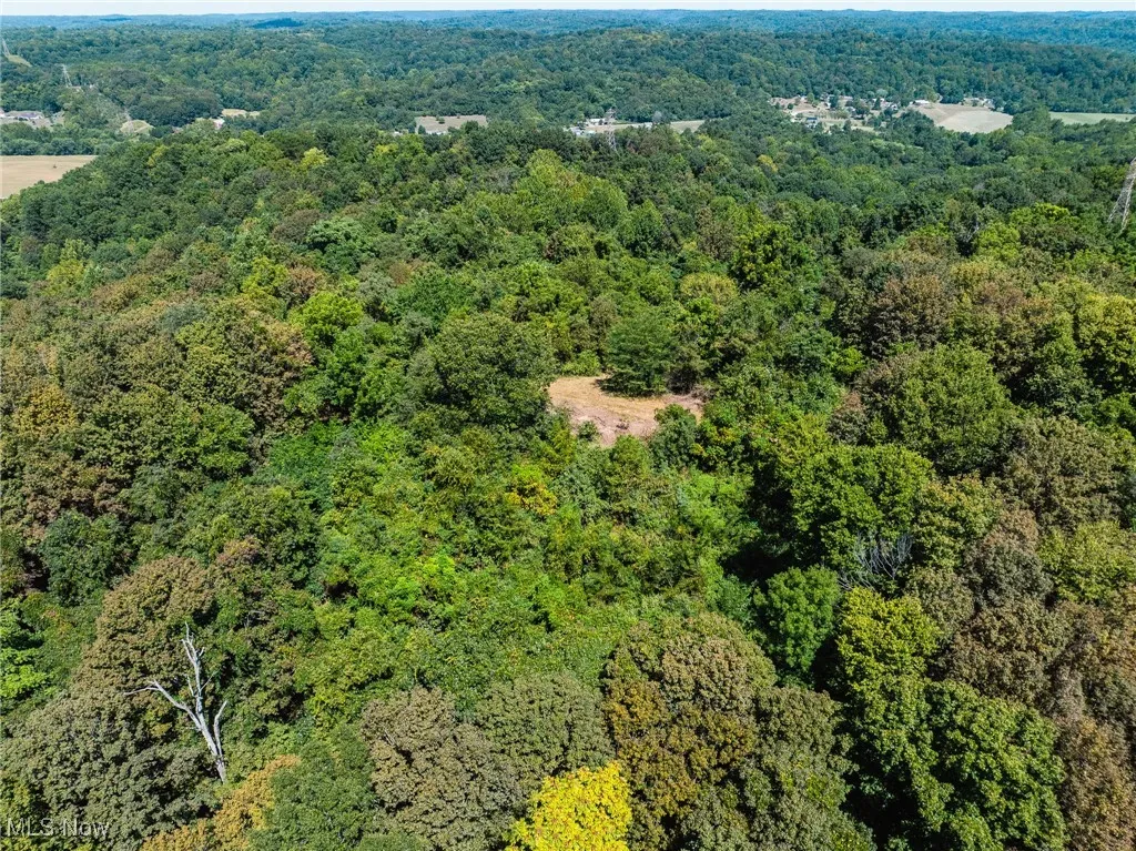 37245 Rife Rd., Middleport, Ohio 45760,MLS Now Listing ID