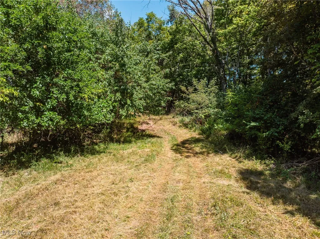 37245 Rife Rd., Middleport, Ohio 45760,MLS Now Listing ID