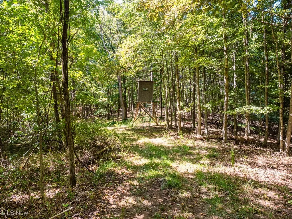 37245 Rife Rd., Middleport, Ohio 45760,MLS Now Listing ID