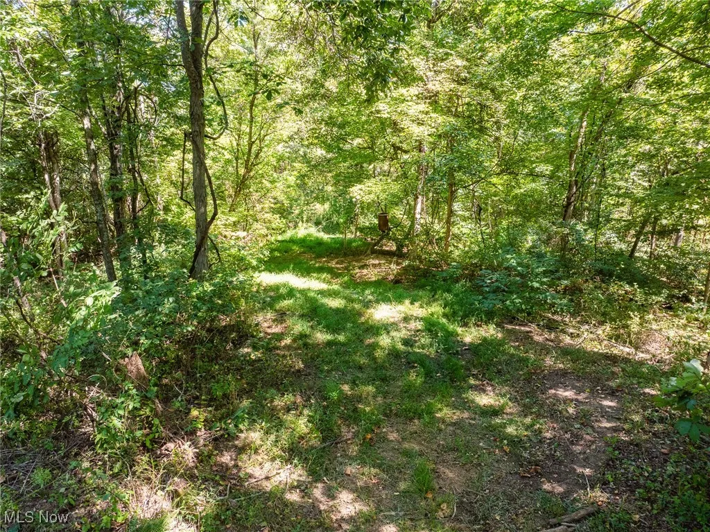 37245 Rife Rd., Middleport, Ohio 45760,MLS Now Listing ID