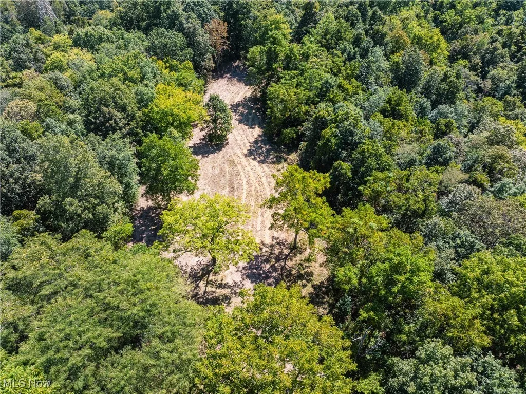 37245 Rife Rd., Middleport, Ohio 45760,MLS Now Listing ID