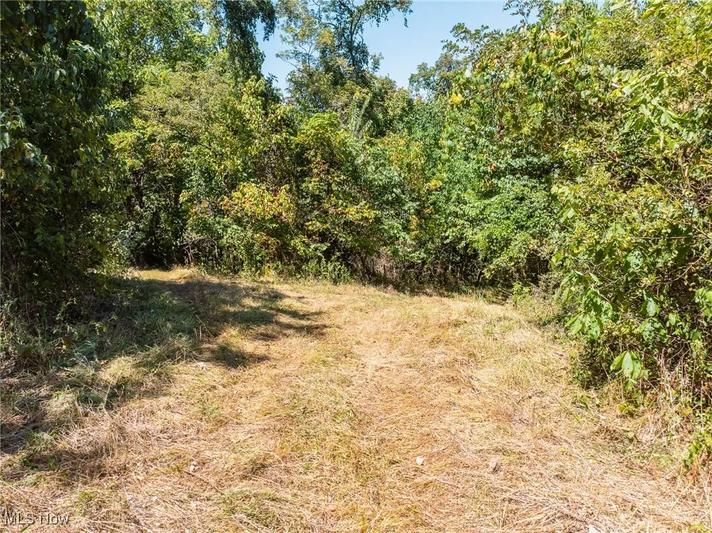 37245 Rife Rd., Middleport, Ohio 45760,MLS Now Listing ID
