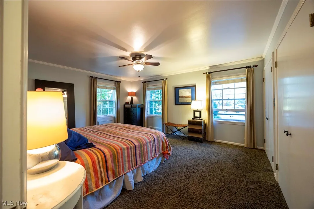 Carpeted bedroom with crown molding and ceiling fan