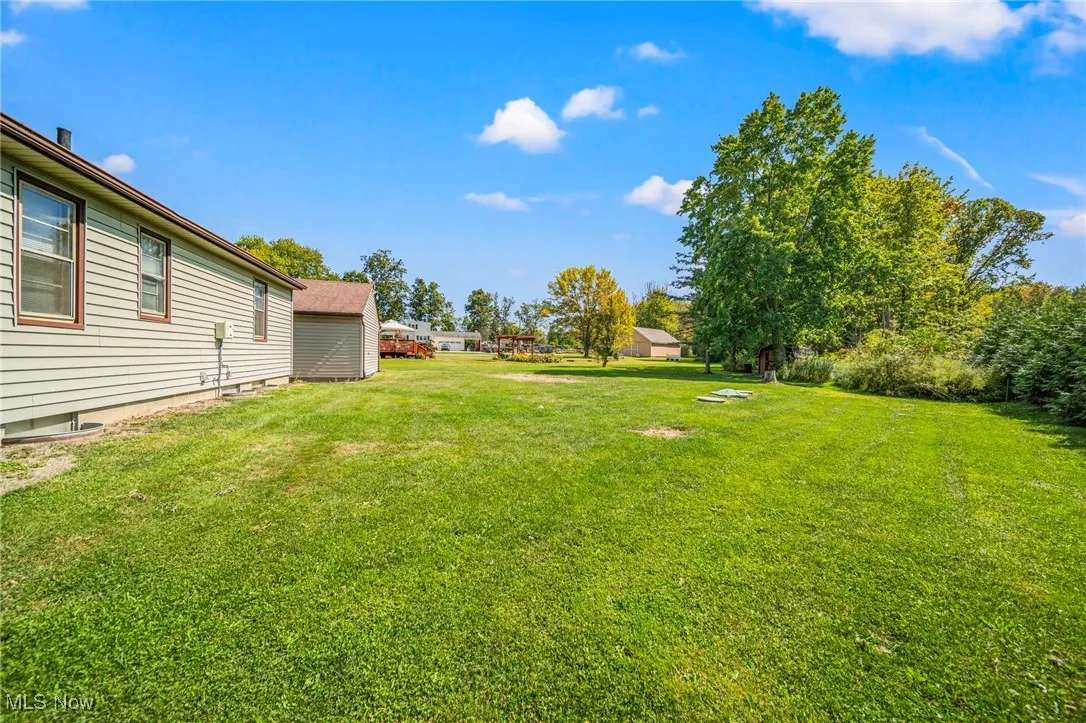 View of grassy yard