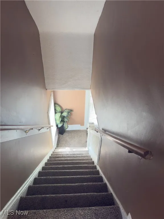 Stairway with baseboards and carpet