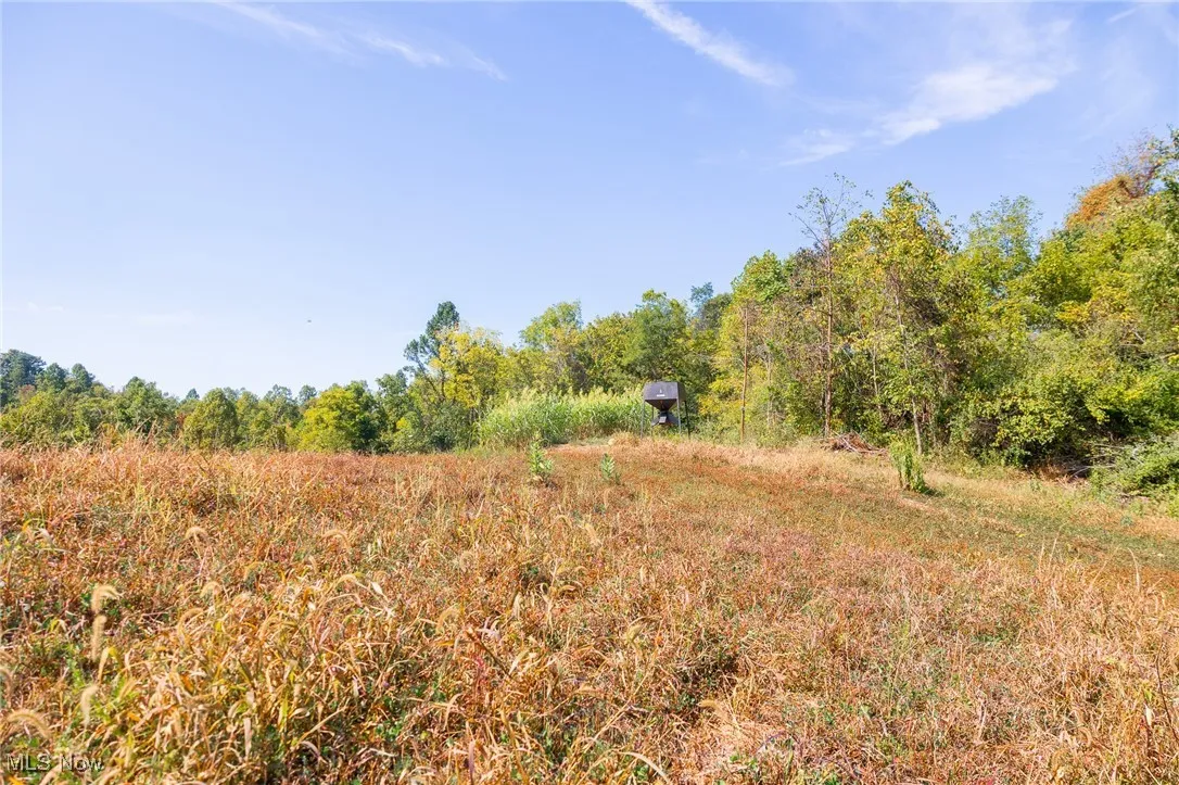View of wooded area featuring a rural view