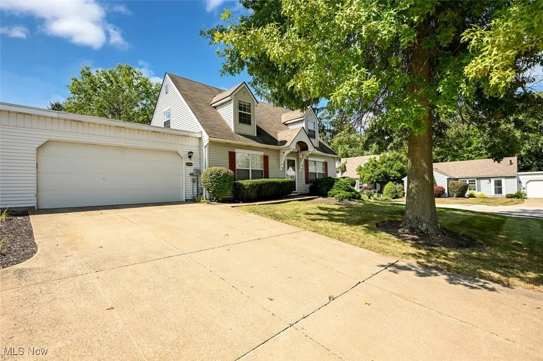 Cape cod house with double lane concrete driveway, an attached garage, a front lawn, and a shingled roof