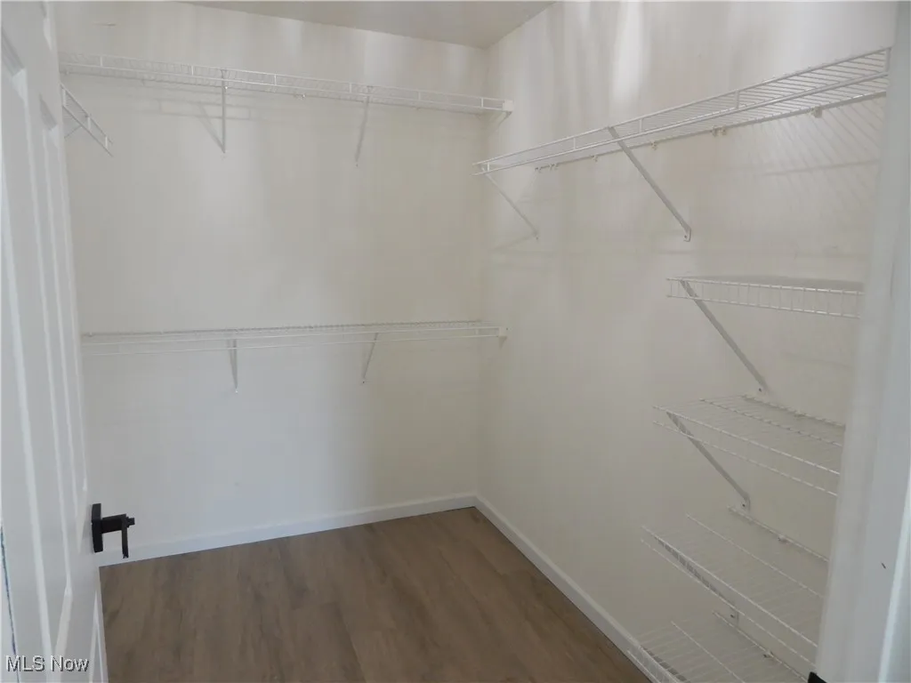 Walk in closet featuring dark wood-style floors