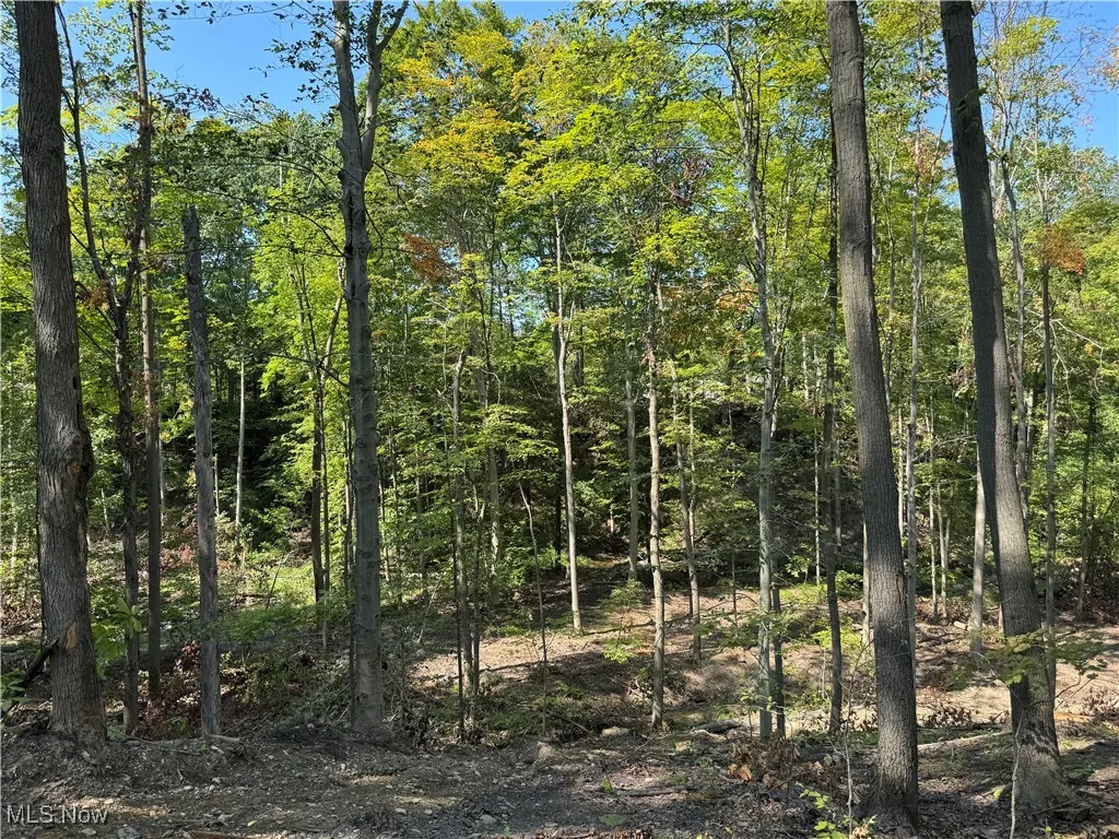 V/L 3 Sidley Road, Thompson, Ohio 44086,MLS Now Listing ID