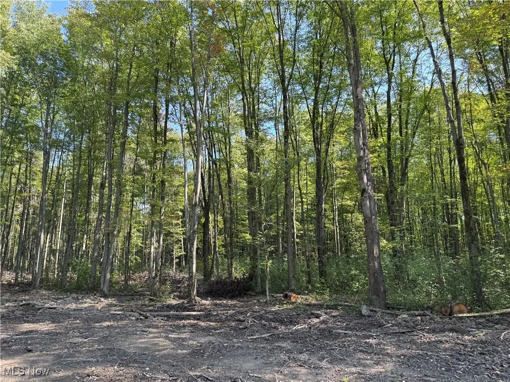 V/L 3 Sidley Road, Thompson, Ohio 44086,MLS Now Listing ID