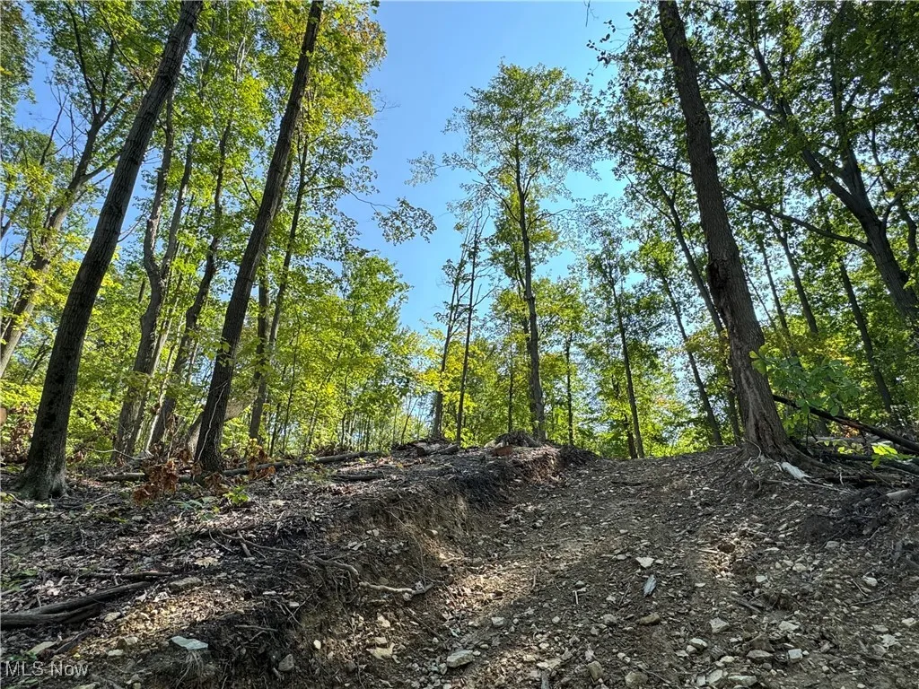 V/L 3 Sidley Road, Thompson, Ohio 44086,MLS Now Listing ID