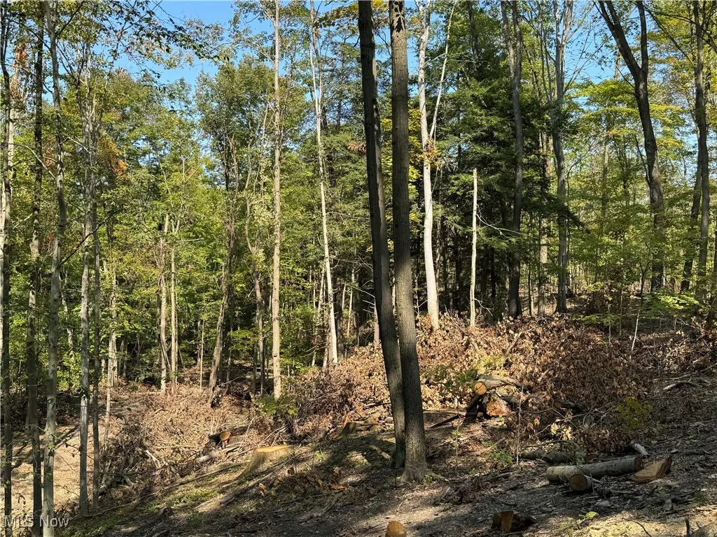 V/L 3 Sidley Road, Thompson, Ohio 44086,MLS Now Listing ID
