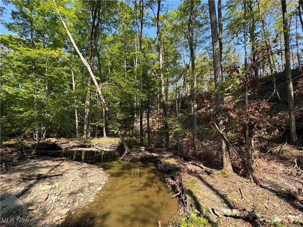 V/L 3 Sidley Road, Thompson, Ohio 44086,MLS Now Listing ID