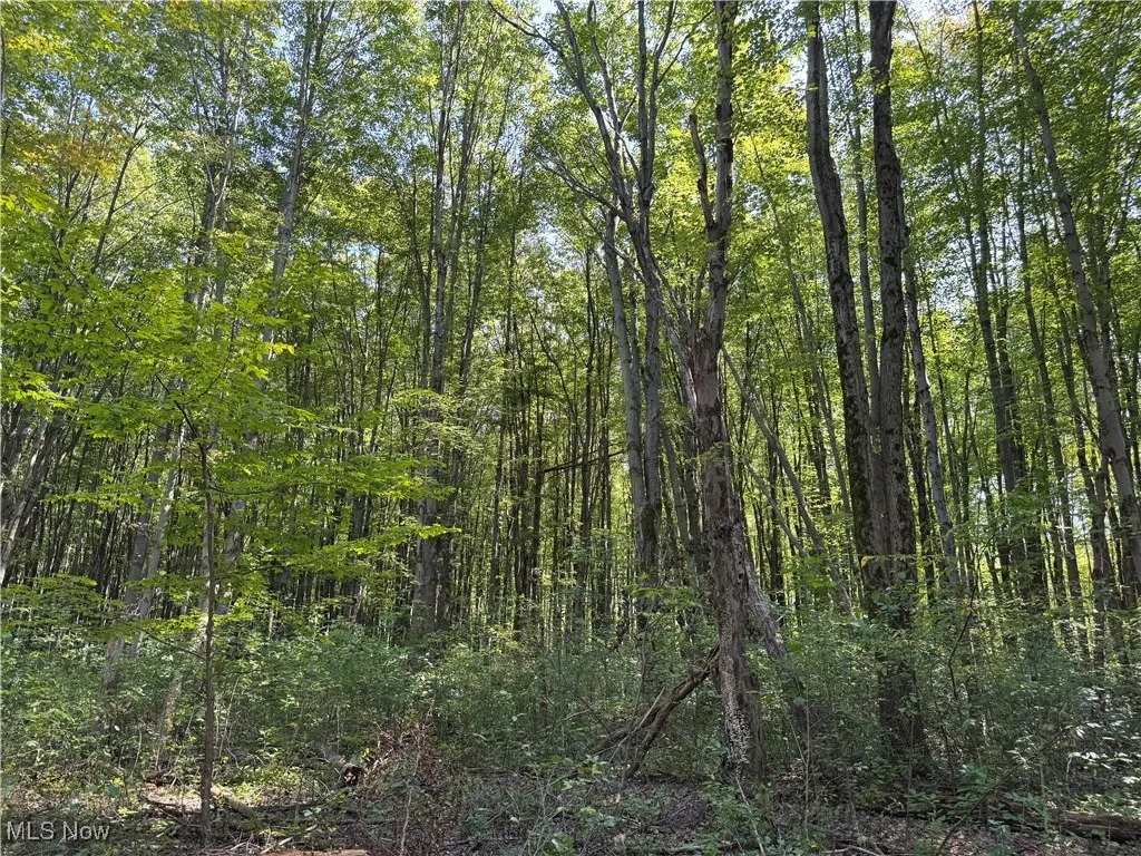V/L 3 Sidley Road, Thompson, Ohio 44086,MLS Now Listing ID