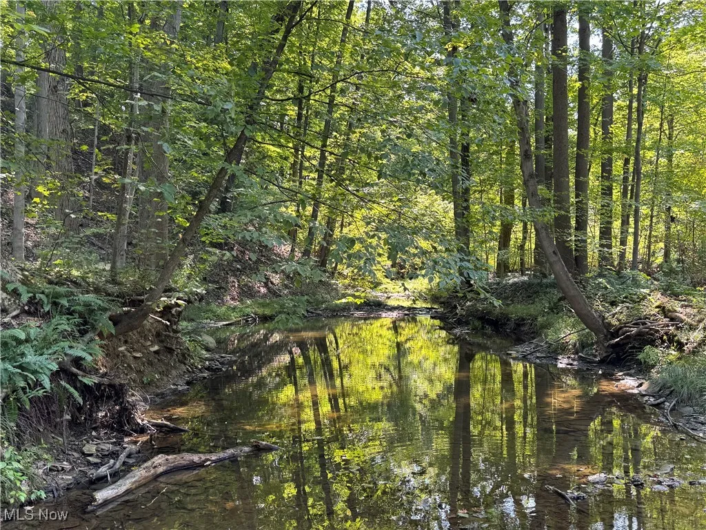 V/L 3 Sidley Road, Thompson, Ohio 44086,MLS Now Listing ID