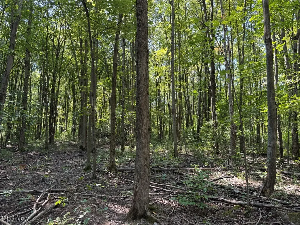 V/L 3 Sidley Road, Thompson, Ohio 44086,MLS Now Listing ID