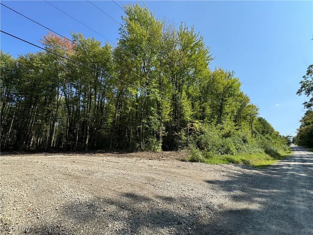 V/L 3 Sidley Road, Thompson, Ohio 44086,MLS Now Listing ID